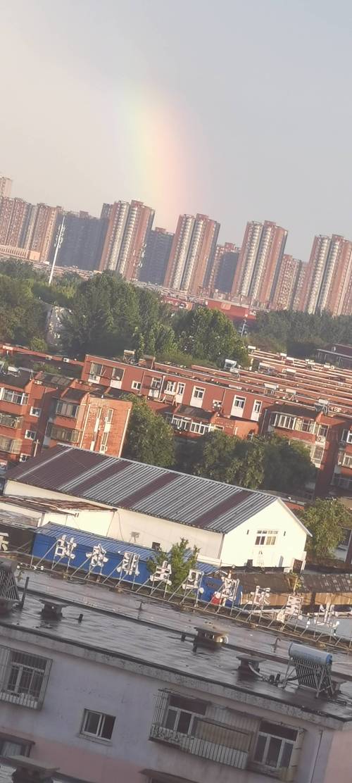 我的作品