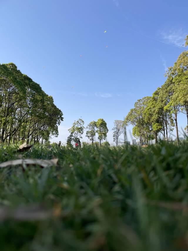 风景